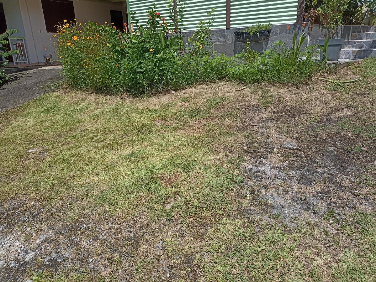 Appartement Milo 1 Bouillante Eksteriør bilde